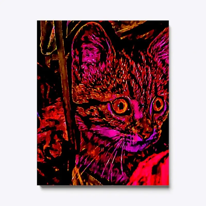 Color Cat