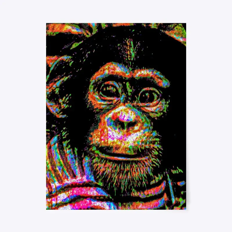 Colorful Monkey