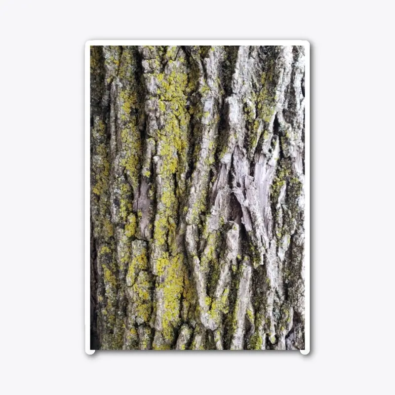 Tree Bark