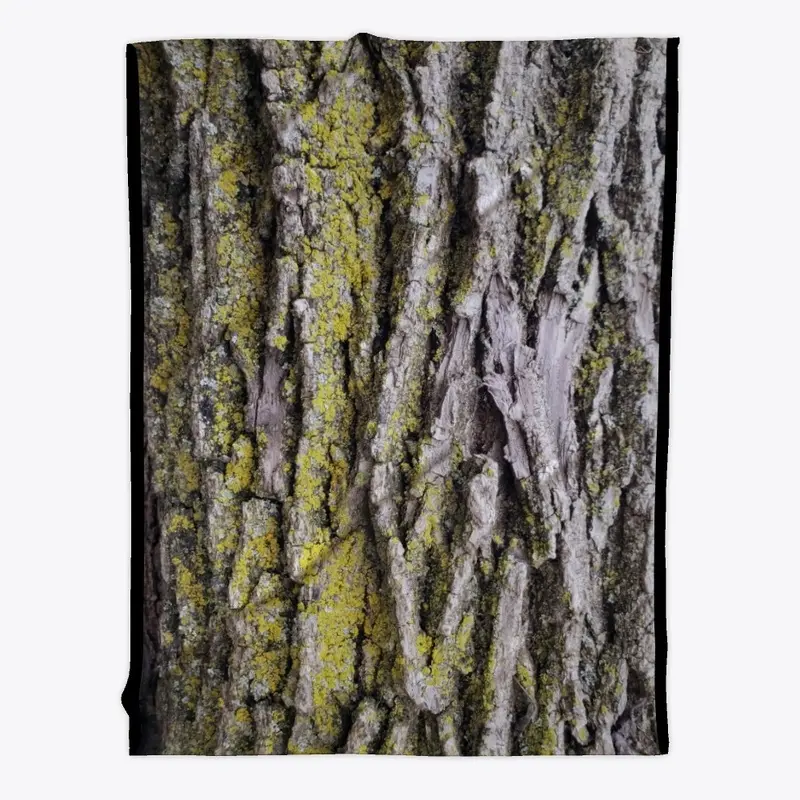 Tree Bark